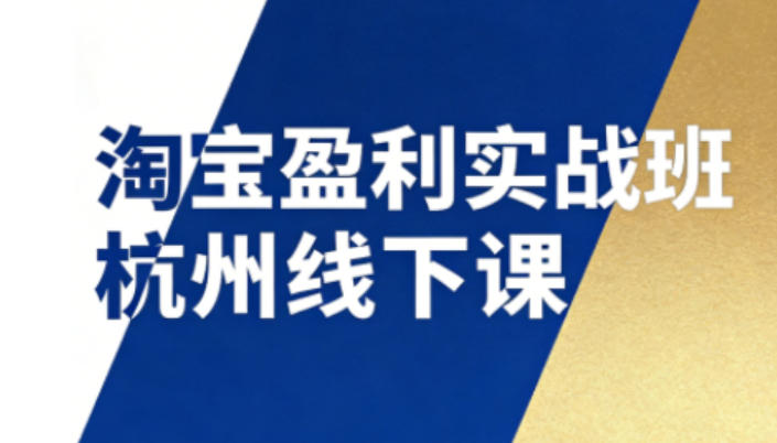 淘宝盈利实战班杭州线下课12月26-28日(音频+字幕)，帮你掌握SOP流程+12门核心技术-云网创