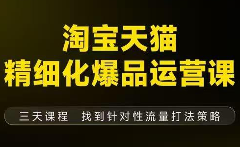 猫课子幽·淘宝天猫精细化爆品运营【音频+字幕+文档】(9月12-14杭州线下课)-云网创