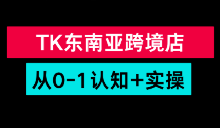 TikTok东南亚跨境从0-1认知实操课-云网创
