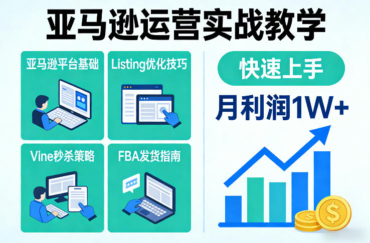 亚马逊运营实战教学，亚马逊平台+Listing优化+Vine秒杀+FBA发货等，快速上手，实现店铺月利润1W-云网创