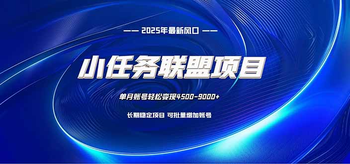 小任务联盟项目：一台电脑每天只需10分钟，轻松简单稳定-云网创