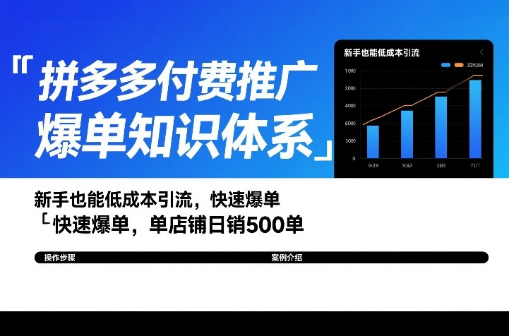 拼多多付费推广爆单知识体系，新手也能低成本引流，快速爆单，单店铺日销500单-云网创