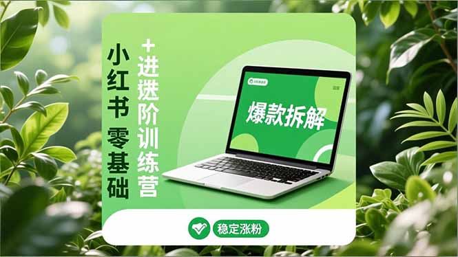 小红书零基础+高阶训练营：安全养号、爆款拆解、长效运营，实现稳定涨粉与变现-云网创