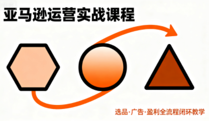 毕方电商·亚马逊全站会员课程(更新3月)-云网创