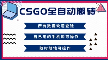CSGO全自动搬砖,年底钱回家好项目,当天可拿到结果,新手小白轻松月入1W+【揭秘】-云网创