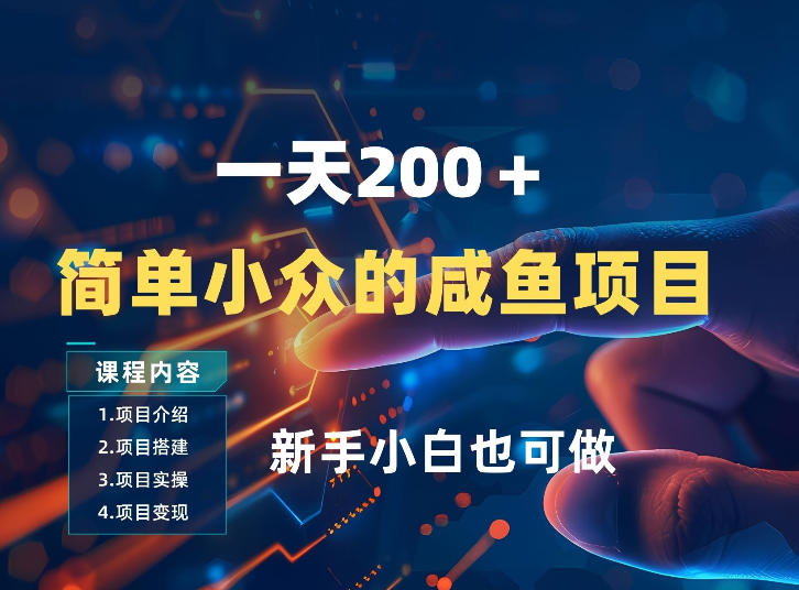 一天收入2张，一个简单小众的咸鱼项目，0门槛小白也能做-云网创