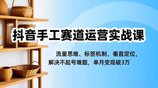 抖音手工赛道运营实战课，流量思维、标签机制、垂直定位，解决不起号难题，单月变现破3万-云网创