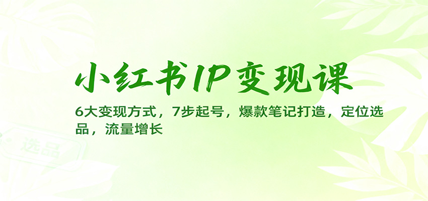 小红书IP变现课:6大变现方式,7步起号,爆款笔记打造,定位选品,流量增长-云网创