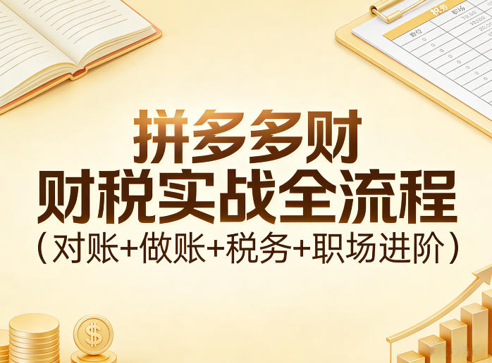 拼多多财税实战全流程(对账+做账+税务+职场进阶)-云网创