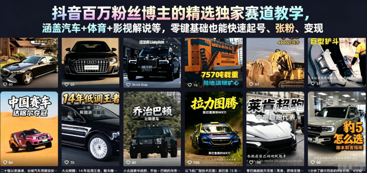 抖音百万粉丝博主的精选独家赛道教学，涵盖汽车+体育+影视解说等，零基础也能快速起号、涨粉、变现-云网创