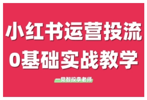 小红书运营投流,小红书广告投放从0到1的实战课,学完即可开始投放(更新26年)-云网创