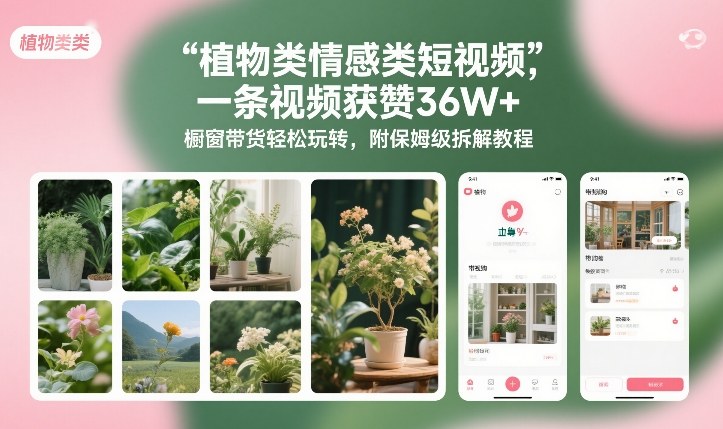植物类情感类短视频，一条视频获赞36W+，橱窗带货轻松玩转，附保姆级拆解教程-云网创