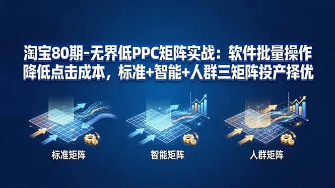 淘宝80期-无界低PPC矩阵实战：软件批量操作降低点击成本，标准+智能+人群三矩阵投产择优-云网创