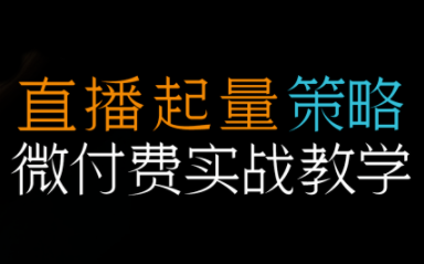 半野老师·直播带货起量与微付费必学课视频号-云网创