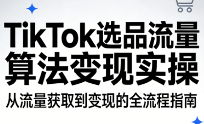 TikTok选品流量算法变现实操-云网创