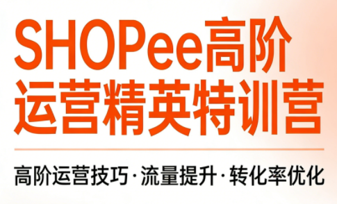 梦凡老师·Shopee虾皮高阶运营课程-云网创