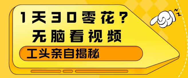 1天30零花？无脑看视频，大佬亲自揭秘-云网创