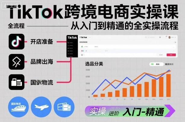 TikTok跨境电商实操课,从入门到精通的全实操流程-云网创
