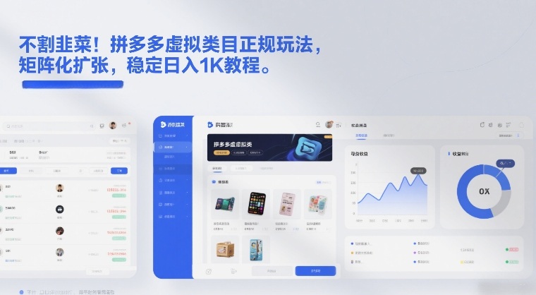 不割韭菜！拼多多虚拟类目正规玩法，矩阵化扩张，稳定日入1K教程【揭秘】-云网创