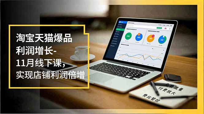 淘宝天猫爆品利润增长-11月线下课,免费流量、付费放大、费比管控,实现店铺利润倍增-云网创