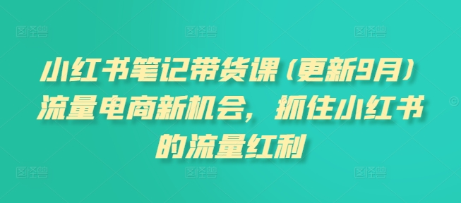 小红书笔记带货课，流量电商新机会，抓住小红书的流量红利(更新26年2月)-云网创