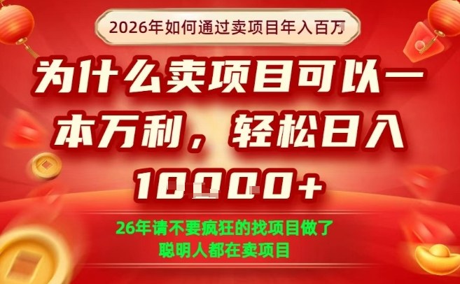 一单净利润1K+，26年想年入100个W，死磕卖项目就够了【揭秘】-云网创