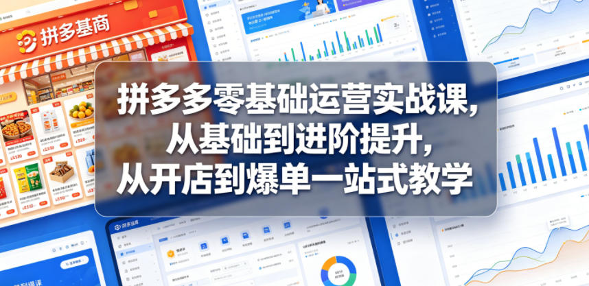 拼多多零基础运营实战课，从基础到进阶提升，从开店到爆单一站式教学-云网创