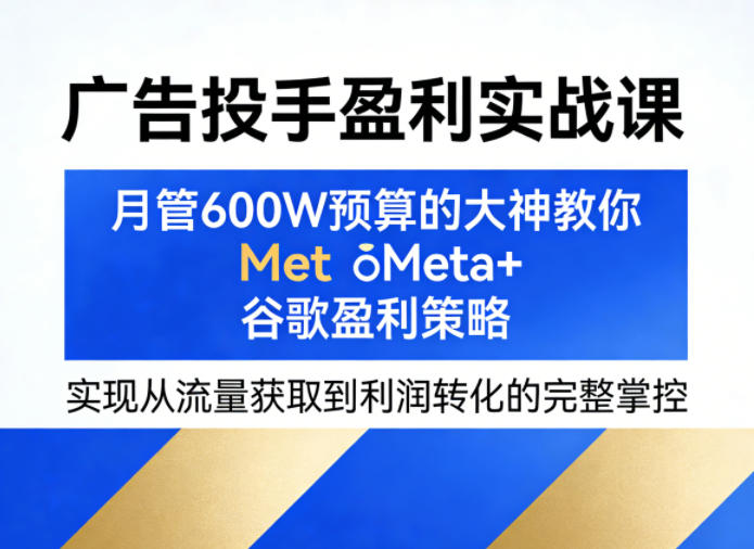 广告投手盈利实战课，月管600W预算的大神教你Meta+谷歌盈利策略，实现从流量获取到利润转化的完整掌控-云网创