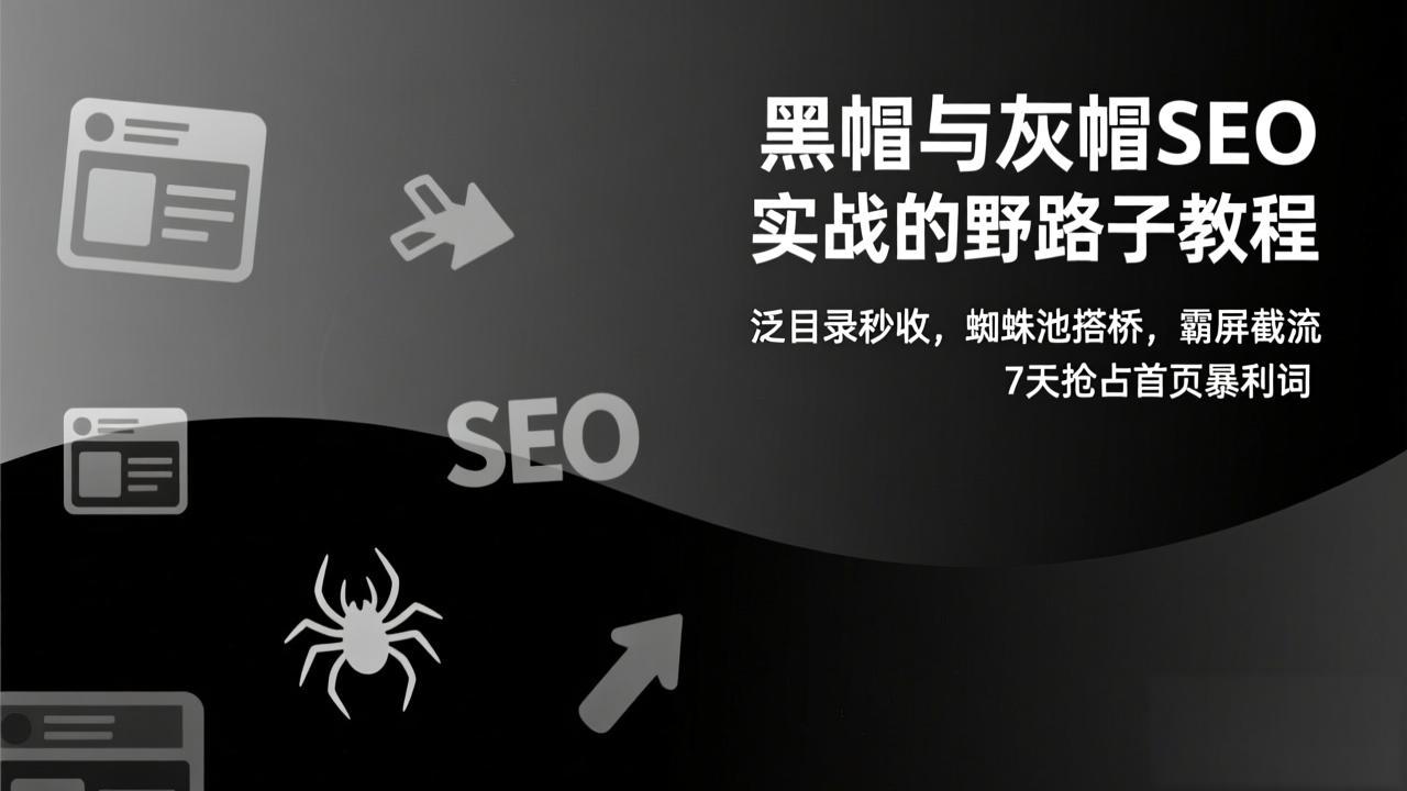 黑帽与灰帽SEO实战的野路子教程：泛目录秒收，蜘蛛池搭桥，霸屏截流，7天抢占首页暴利词-云网创