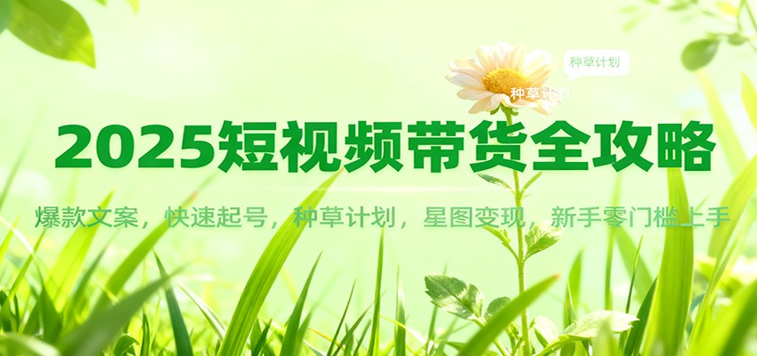 2025短视频带货全攻略：爆款文案，快速起号，种草计划，星图变现，新手零门槛上手-云网创