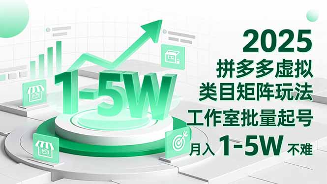 2025 拼多多虚拟类目矩阵玩法,工作室批量起号,月入 1-5W 不难-云网创
