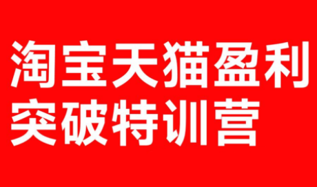 玺承·淘宝天猫盈利突破特训营(25年12月线下课)【音频+字幕】-云网创
