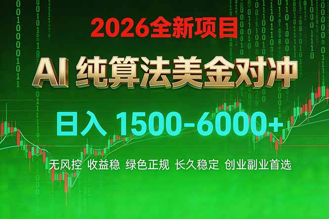 2026 全新美金对冲项目，不套平台赠金，不封号，纯算法对冲，日入 1500-6000+-云网创
