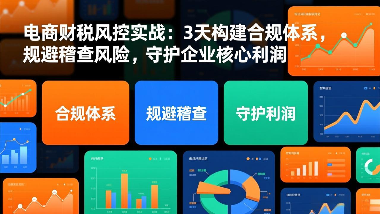 电商财税风控实战：3天构建合规体系，规避稽查风险，守护企业核心利润-云网创