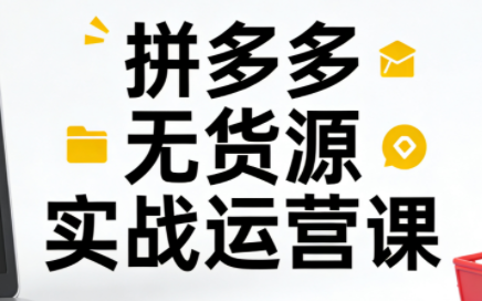 子枫老师·拼多多无货源实战运营课(更新12月)-云网创