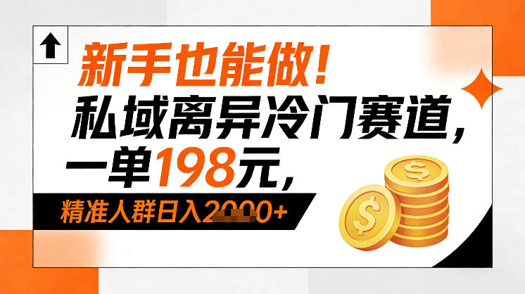 新手也能做！私域离异冷门赛道，一单198，精准人群日入1k+-云网创
